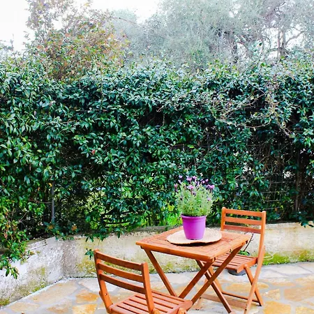 Spiros House *